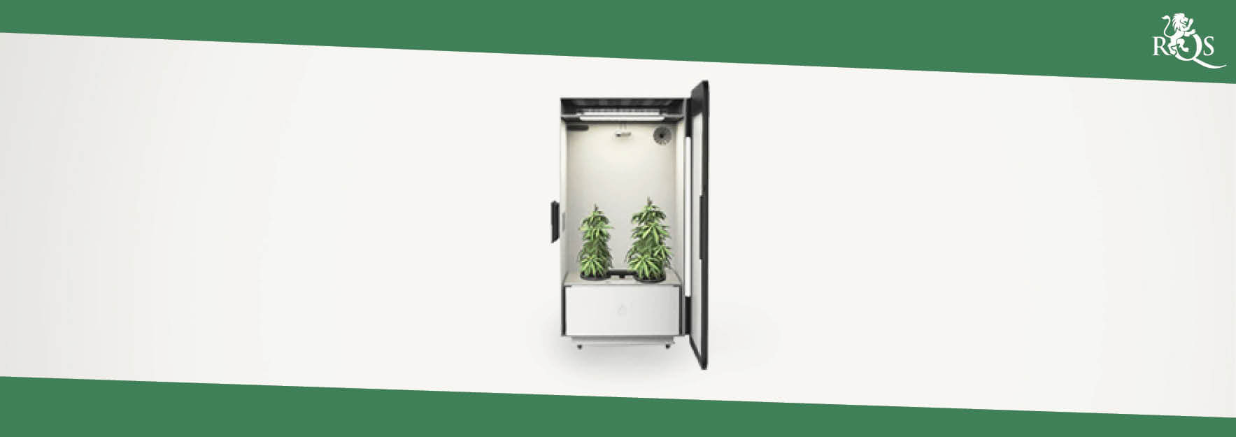 IL GROWBOX 