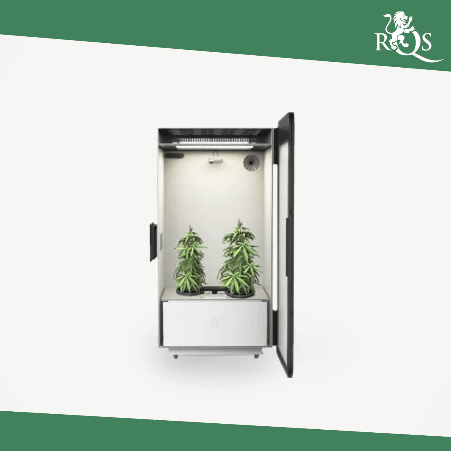 IL GROWBOX 