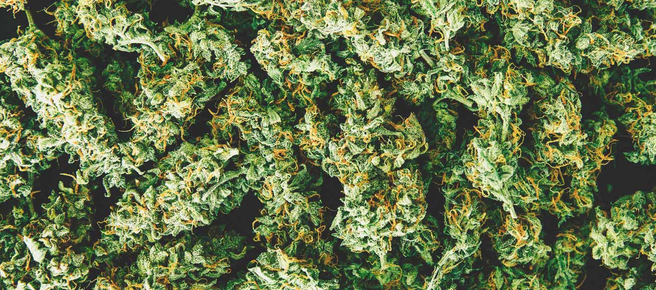 How To Detect A Moldy Weed When You’re Buying
