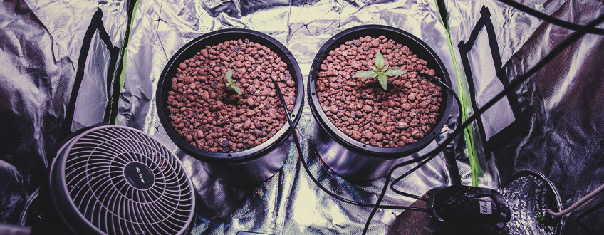 Indoor