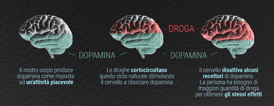 Parametri di Confronto per la Cannabis