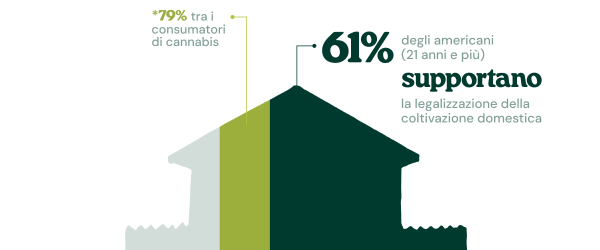 Infografica che mostra che il 61% degli americani di età pari o superiore a 21 anni sostiene la legalizzazione della coltivazione domestica, percentuale che sale al 79% tra i consumatori di cannabis.