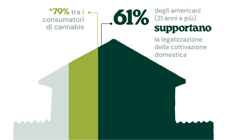 Infografica che mostra che il 61% degli americani di età pari o superiore a 21 anni sostiene la legalizzazione della coltivazione domestica, percentuale che sale al 79% tra i consumatori di cannabis.