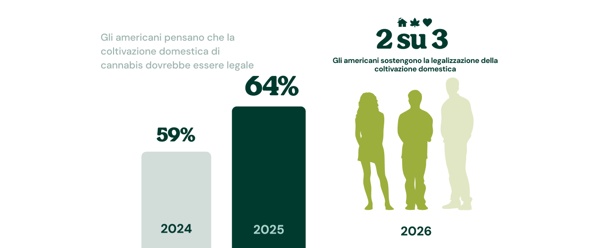 I consumatori di cannabis preferiscono lo sballo della cannabis all’alcol Infografica che mostra che il 76% dei consumatori di cannabis preferisce lo sballo della cannabis all’effetto dell’alcol.