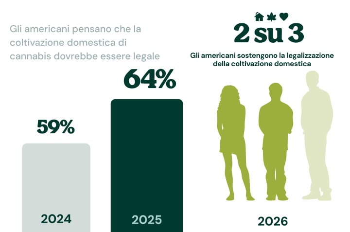 I consumatori di cannabis preferiscono lo sballo della cannabis all’alcol Infografica che mostra che il 76% dei consumatori di cannabis preferisce lo sballo della cannabis all’effetto dell’alcol.
