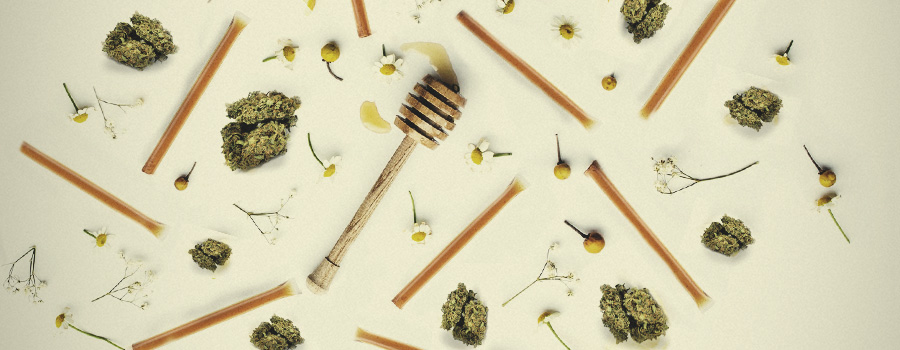 PREPARARE BASTONCINI DI MIELE INFUSO ALLA CANAPA PREPARARE BASTONCINI DI MIELE INFUSO ALLA CANAPA