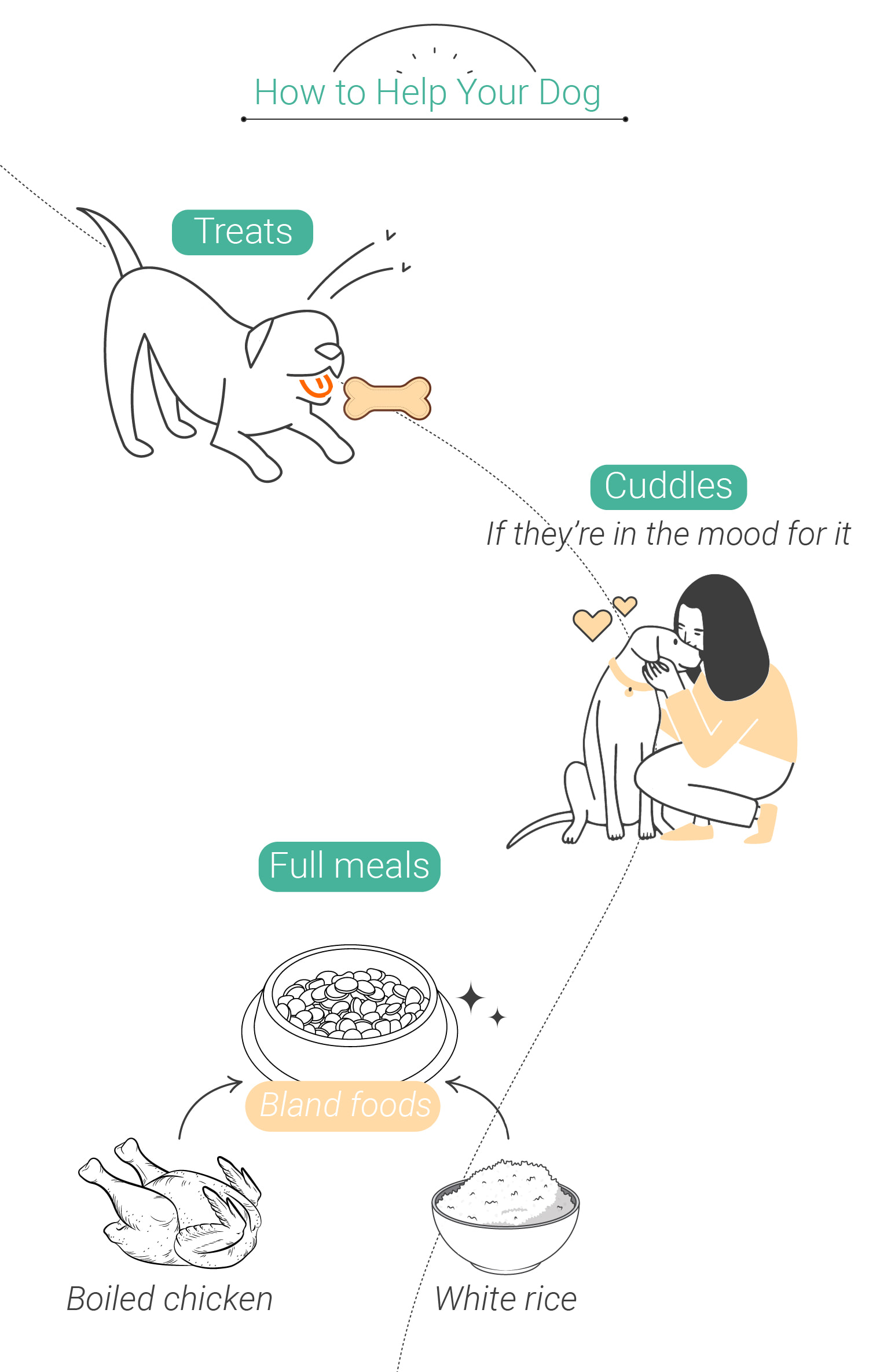 Animali E Tossicità Della Cannabis: Cosa Fare Se Il Tuo Cane Mangia L'Erba Animali E Tossicità Della Cannabis: Cosa Fare Se Il Tuo Cane Mangia L'Erba