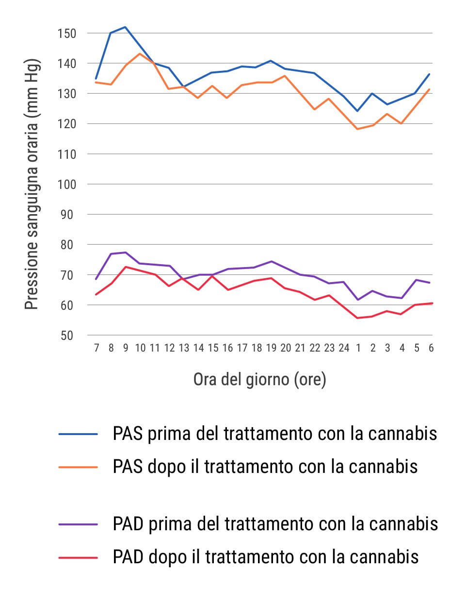 Impatto a breve termine della cannabis sull’ipertensione