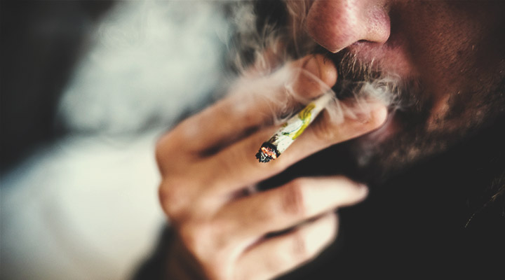 Come viene assunto il CBD? Come viene assunto il CBD?