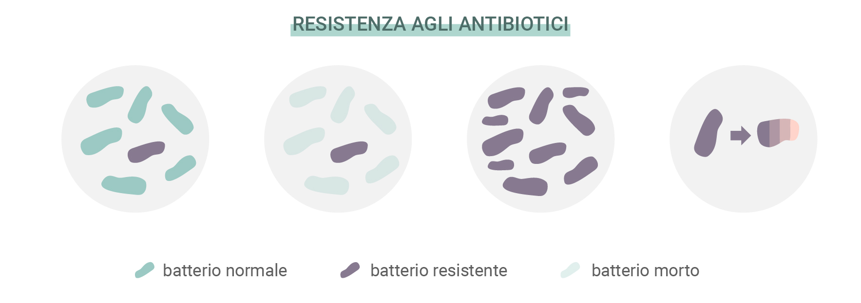 Cos’è la resistenza agli antibiotici?