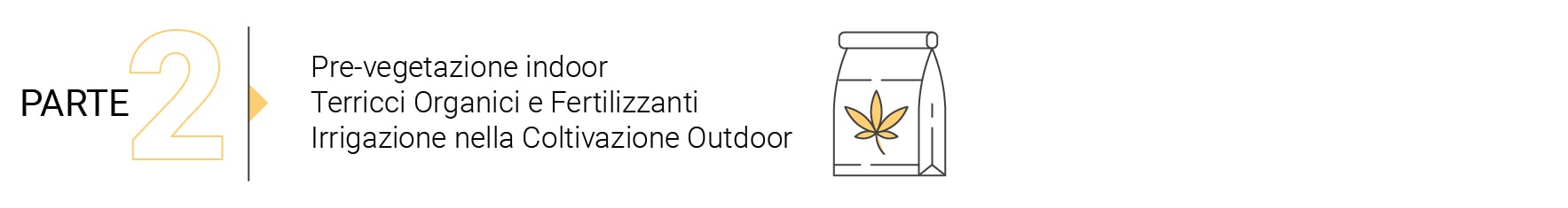 The Basics of Cannabis Outdoor Growing (Part 4)