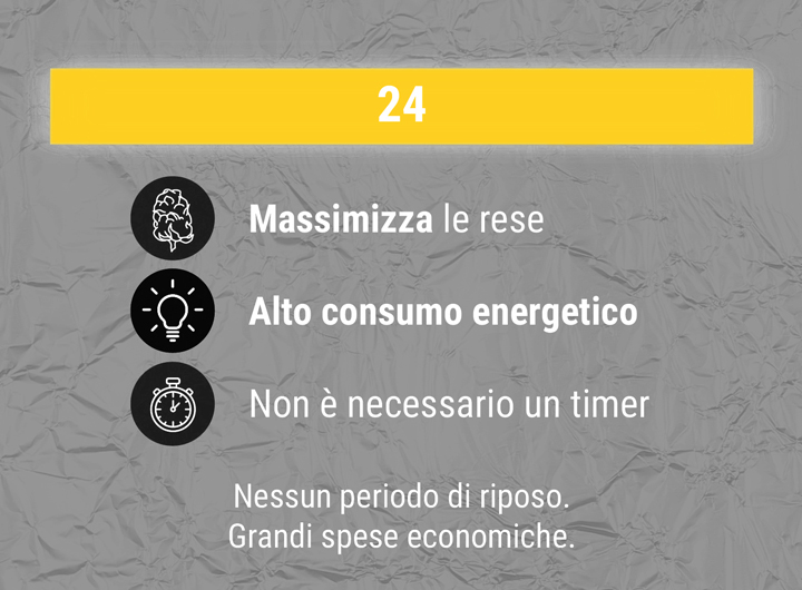 24:0 Ratio 24:0 Ratio