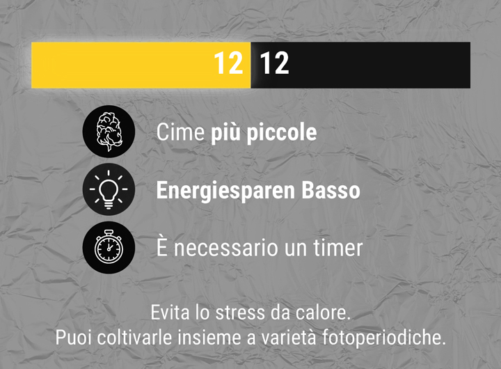 12:12 Ratio 12:12 Ratio
