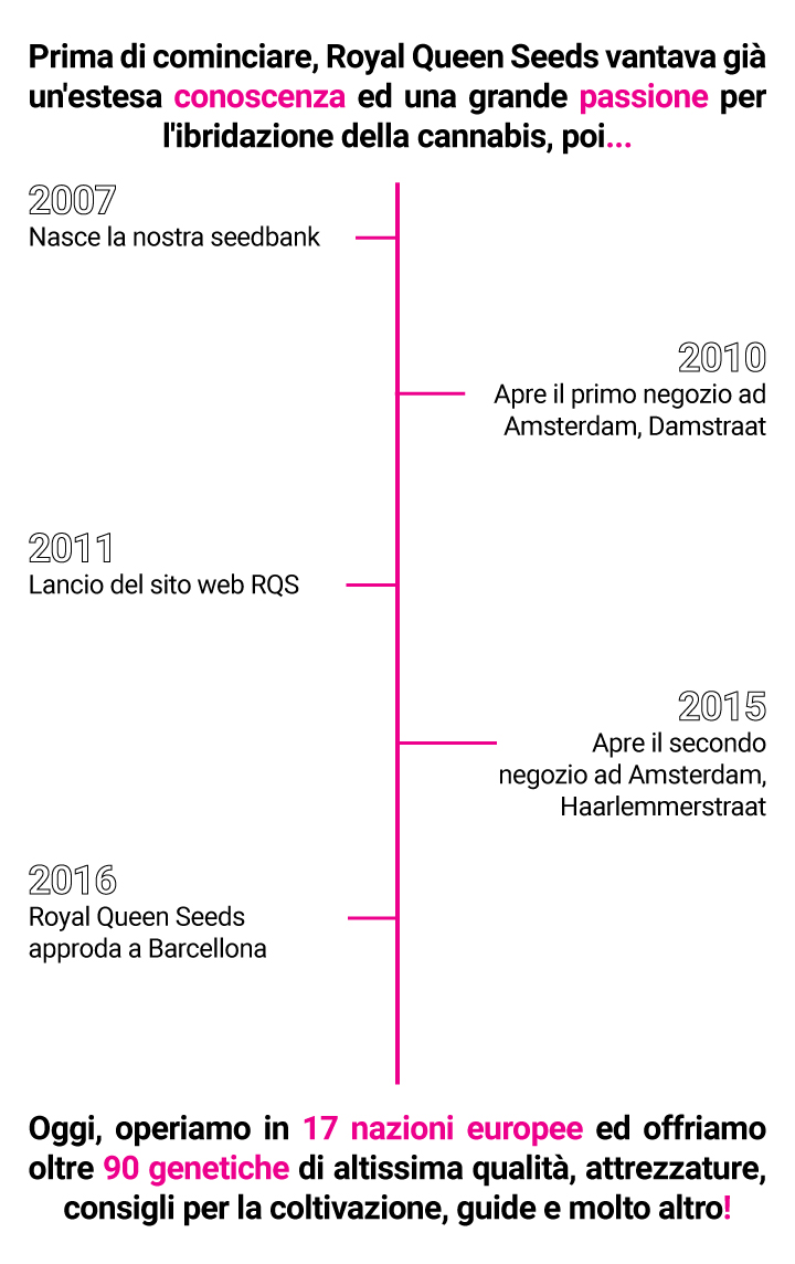 RQS Storyline RQS Storyline
