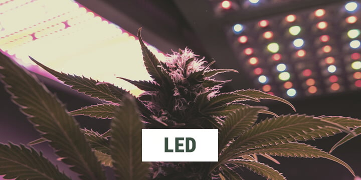 LED