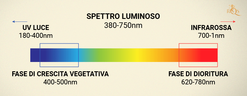 SPETTRO LUMINOSO INCORRETTO