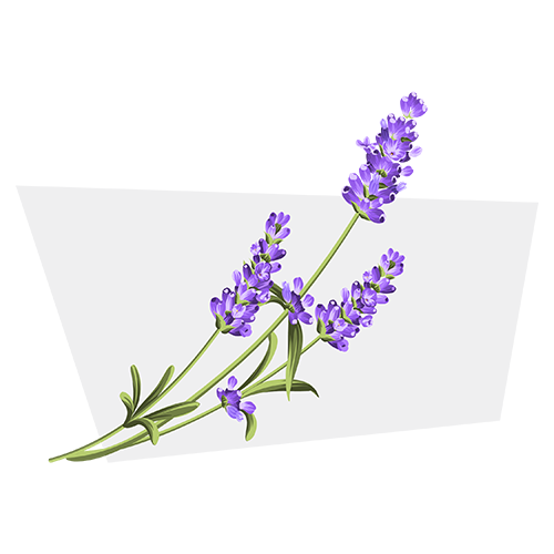 Linalool