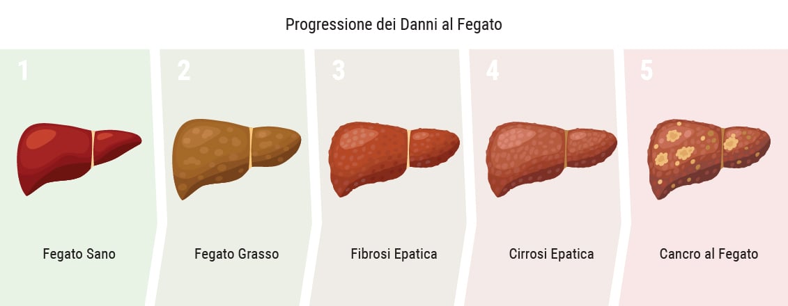 La cannabis può influire sul fegato?