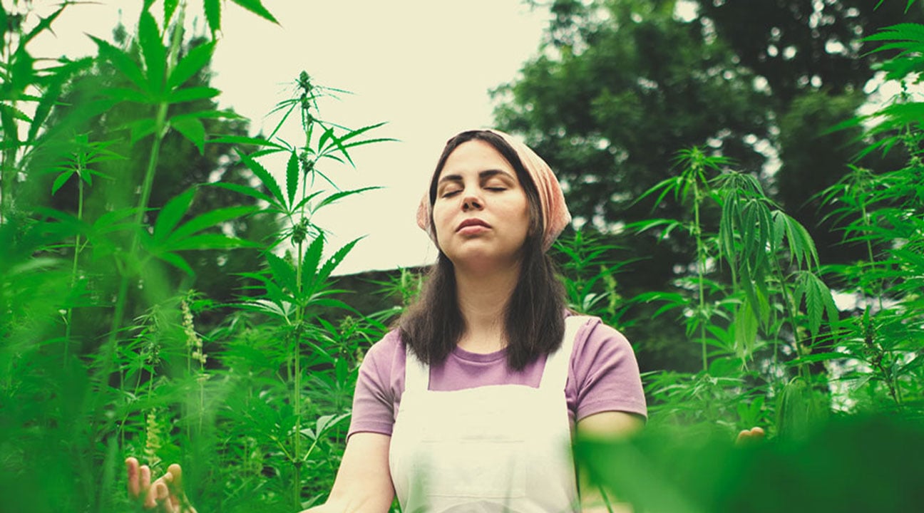 Puoi condividere con noi una pratica che potremmo adottare per meditare con la cannabis?