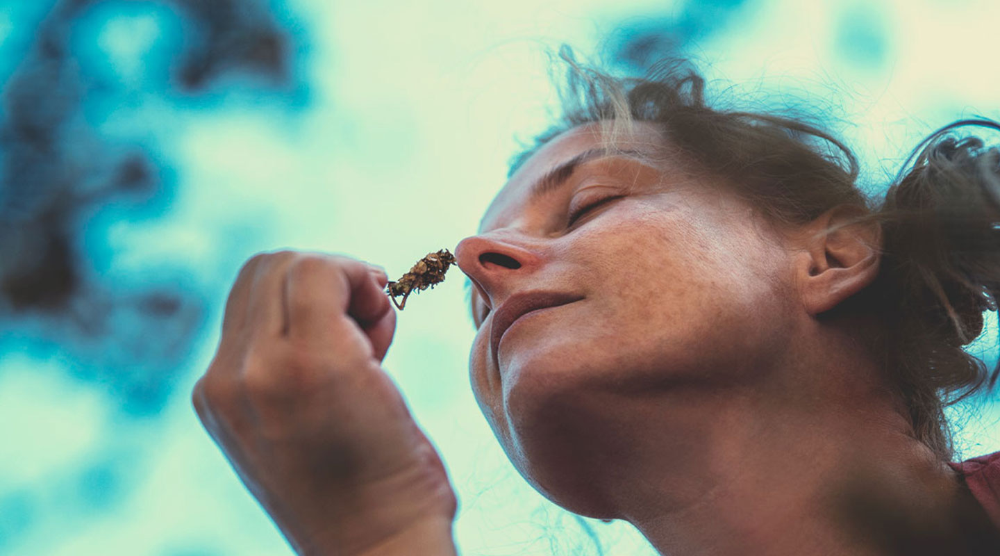 La cannabis può aiutare le persone ad affrontare l’ansia, lo stress, a perdere peso e a smettere di bere alcolici?