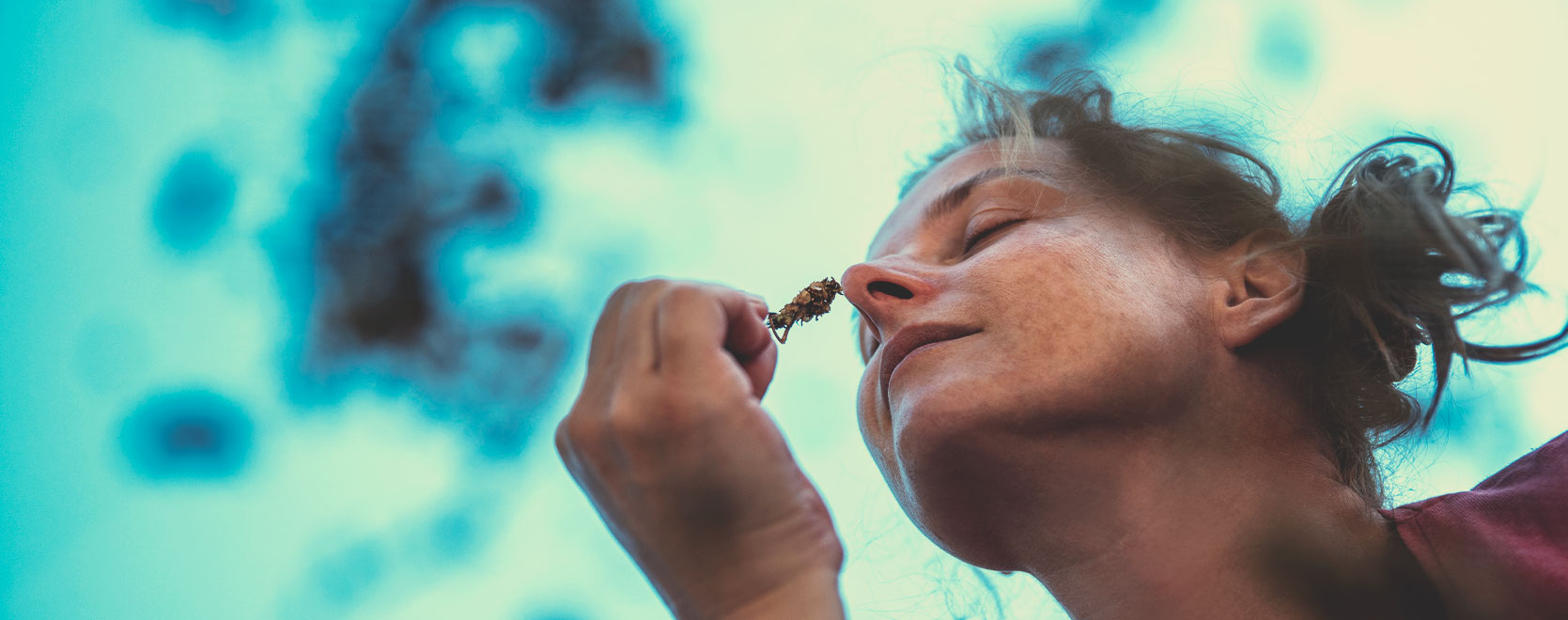 La cannabis può aiutare le persone ad affrontare l’ansia, lo stress, a perdere peso e a smettere di bere alcolici?