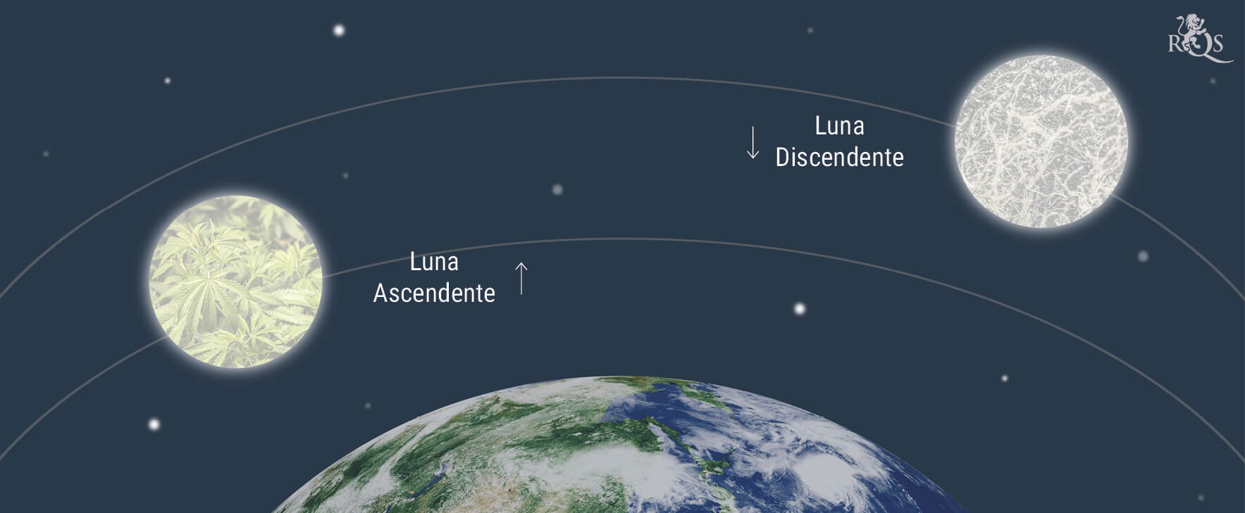 In Che Modo la Luna Influenza la Crescita della Cannabis In Che Modo la Luna Influenza la Crescita della Cannabis
