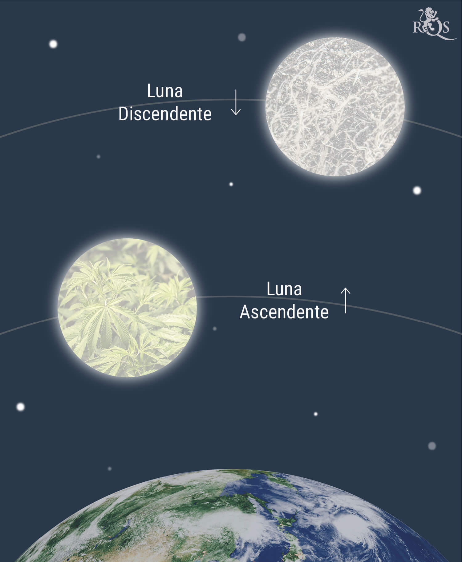 In Che Modo la Luna Influenza la Crescita della Cannabis In Che Modo la Luna Influenza la Crescita della Cannabis