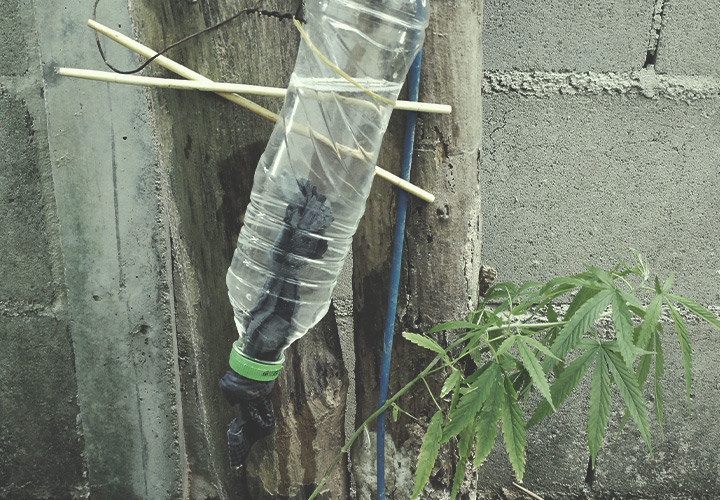 Come Costruire un Sistema di Irrigazione a Goccia con Bottiglie Outdoor Come Costruire un Sistema di Irrigazione a Goccia con Bottiglie Outdoor