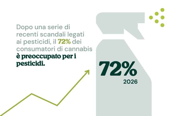 Infografica che mostra il crescente aumento della preoccupazione per i pesticidi nella cannabis acquistata nei negozi.