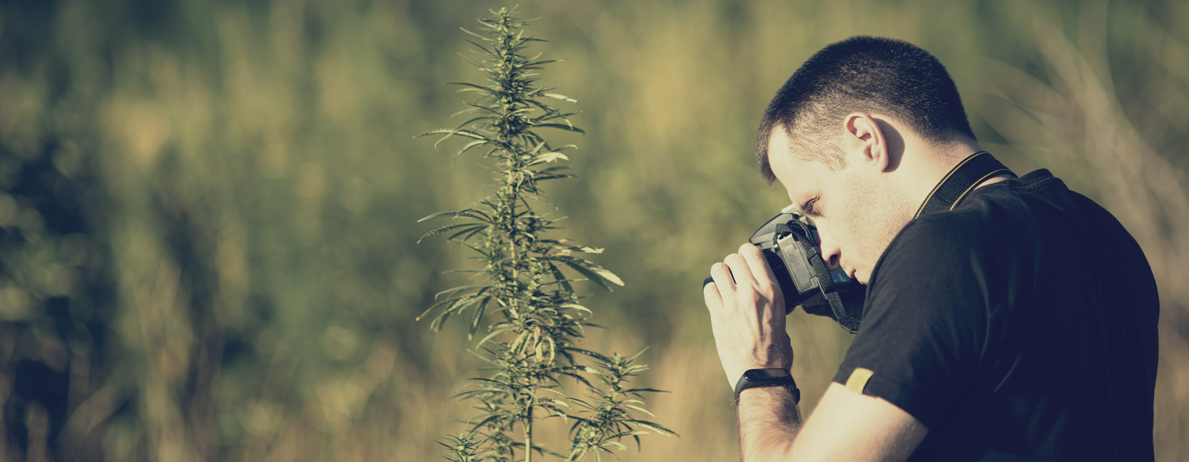 Potresti condividere con noi alcuni consigli per scattare foto creative di cannabis?