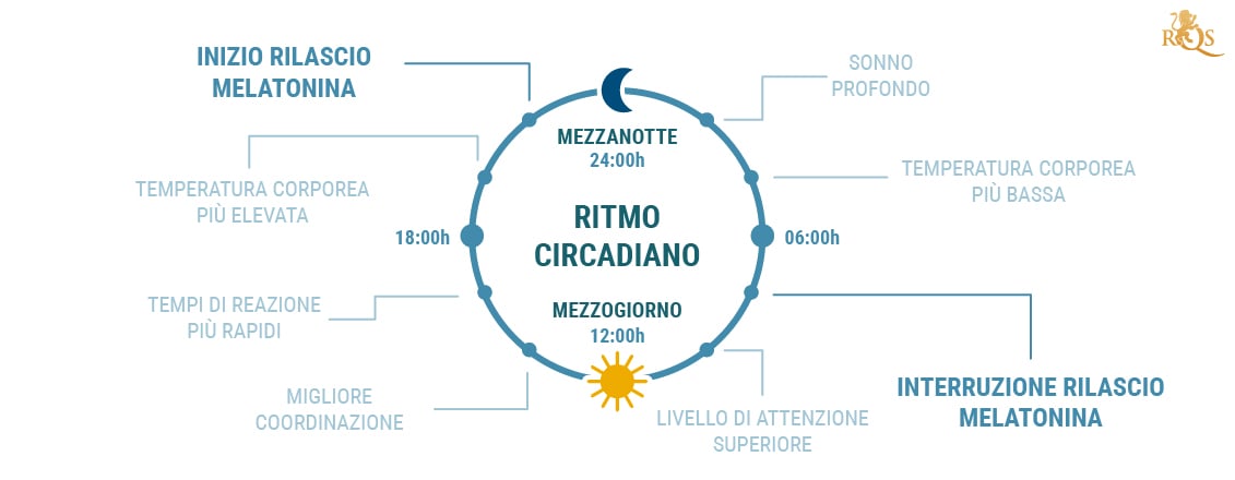 Che cos'è il ritmo circadiano?