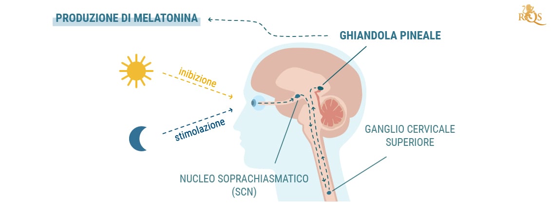 Produzione di melatonina