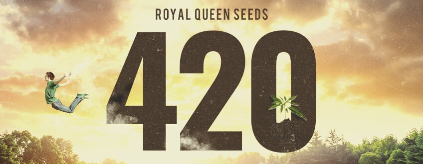 Il 420 per Royal Queen Seeds