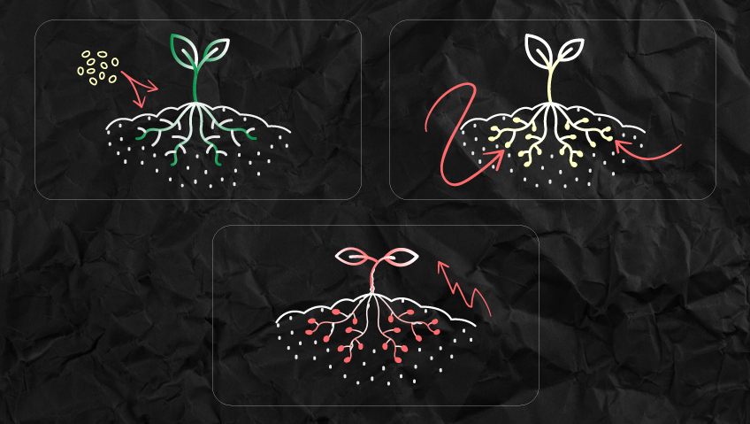 What is Pythium What is Pythium