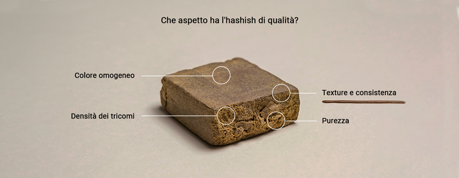 quality-hash-desktop-IT