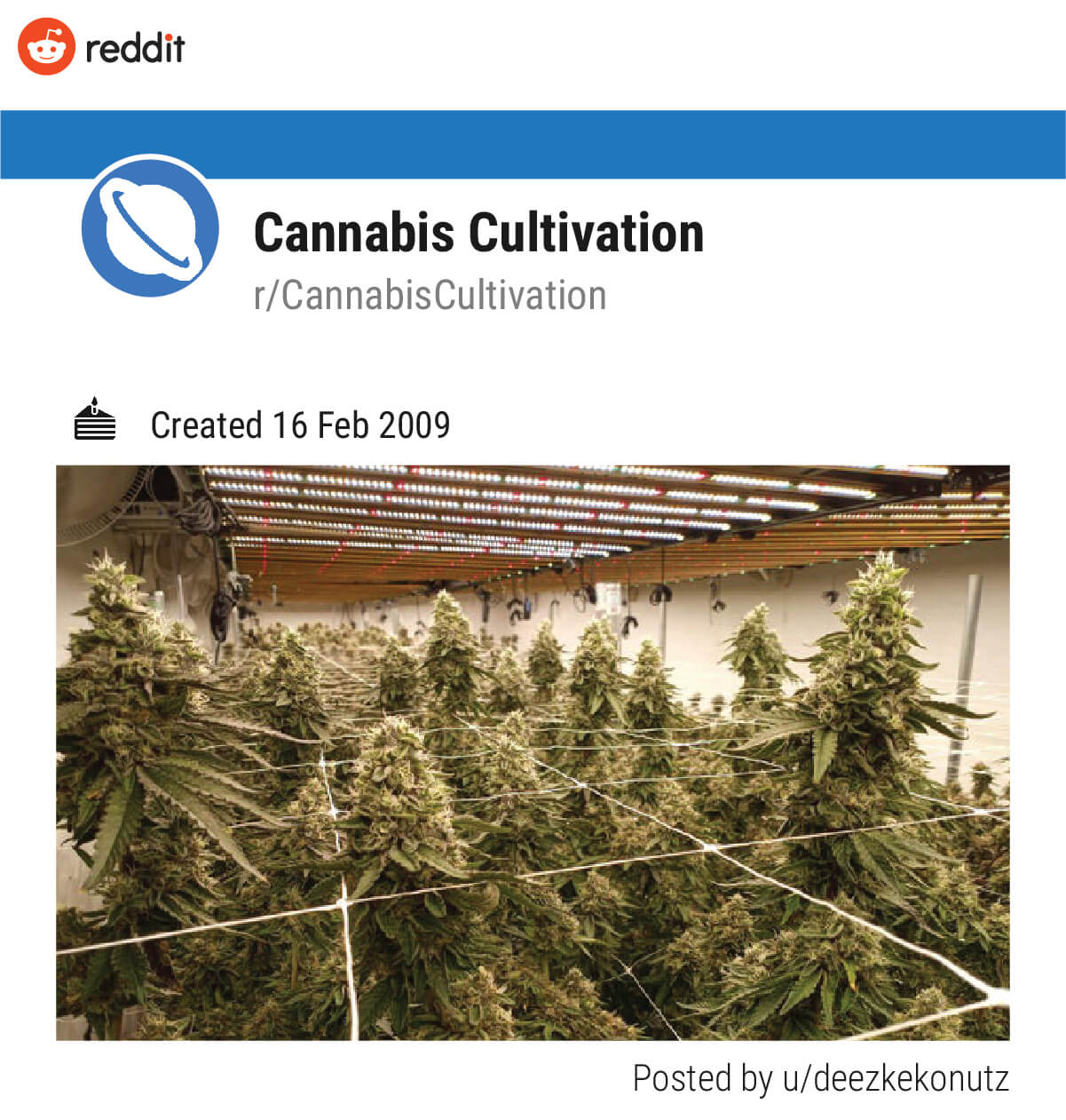 Cannabis Cultivation (r/CannabisCultivation)