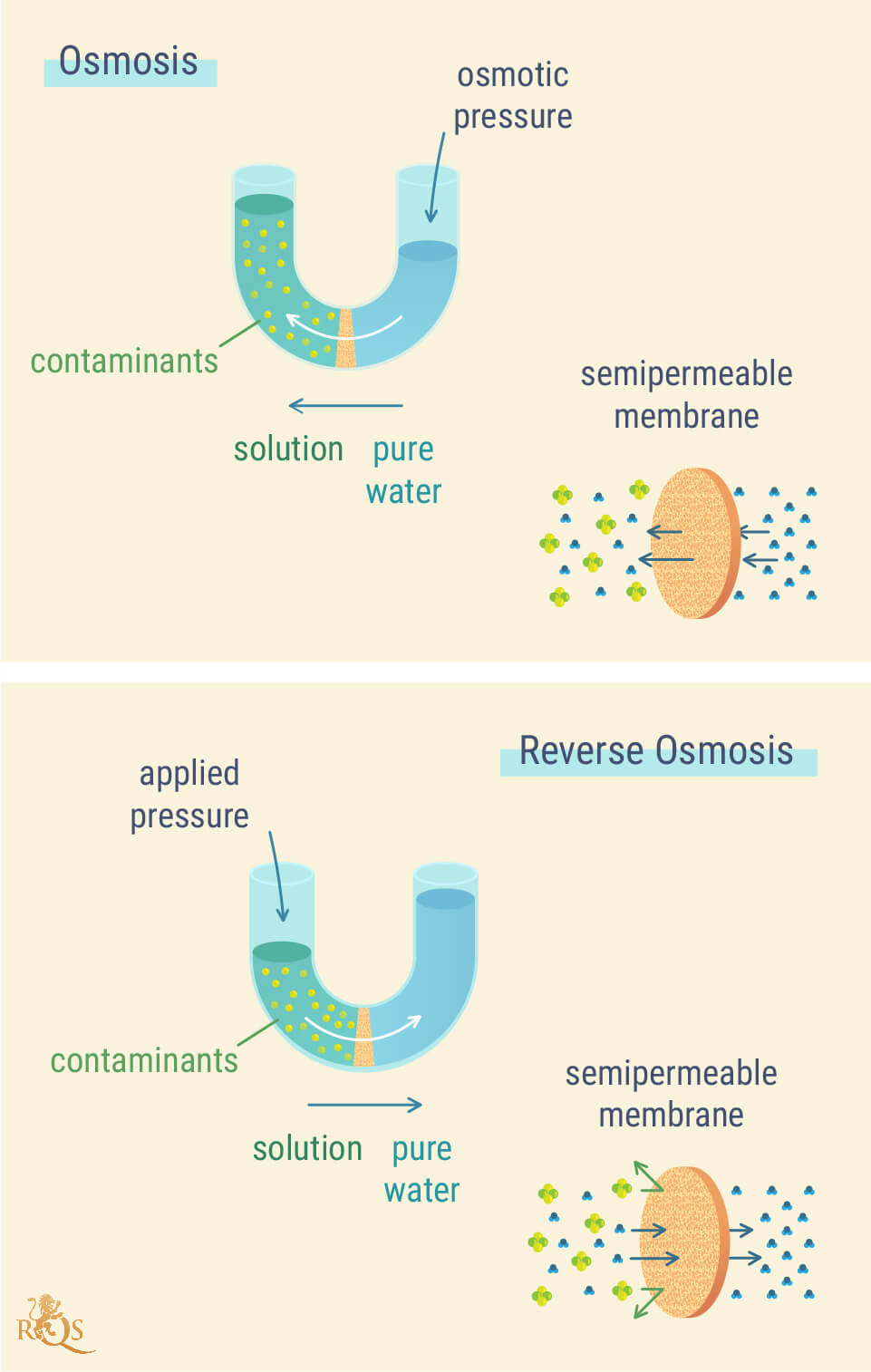 Purificatori d'acqua: come funzionano, l'osmosi inversa, cosa eliminano e  un metodo per risparmiare