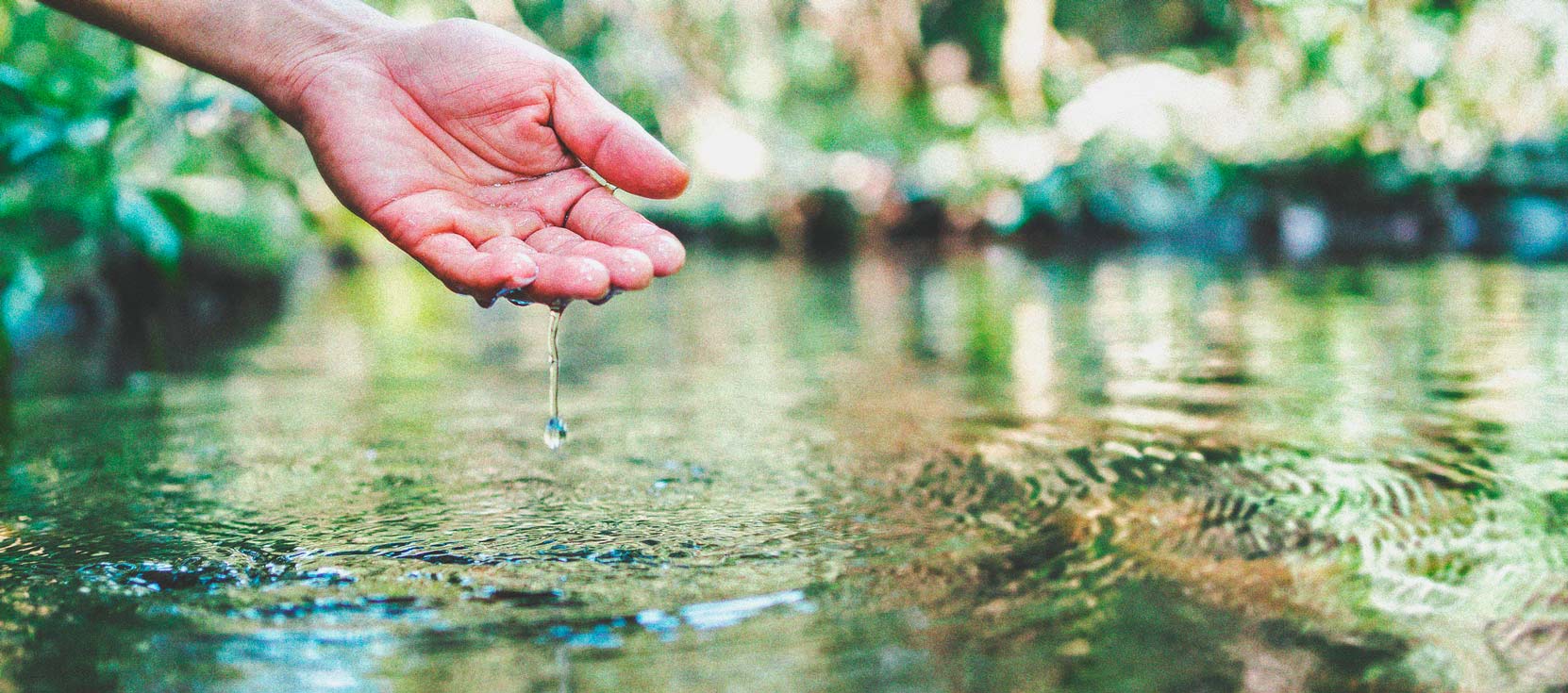 Cannabis e qualità dell'acqua Parte 3: Scelta della fonte d'acqua