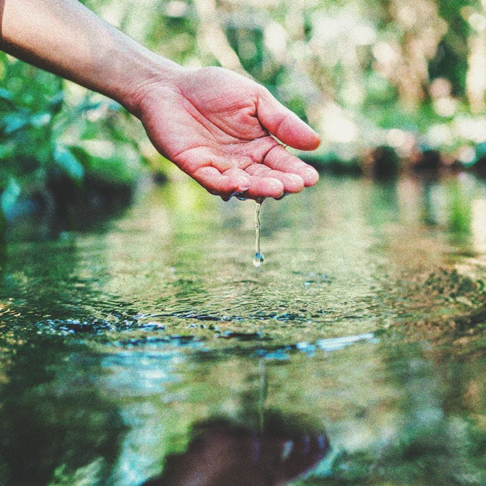 Cannabis e qualità dell'acqua Parte 3: Scelta della fonte d'acqua