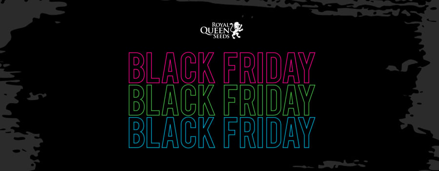 Royal Queen Seeds Black Friday 2020