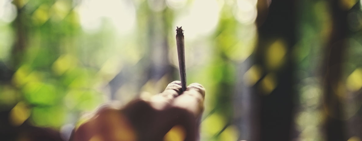 Preparazione e preparativi applicati alla cannabis: Consigli e trucchi Preparazione e preparativi applicati alla cannabis: Consigli e trucchi