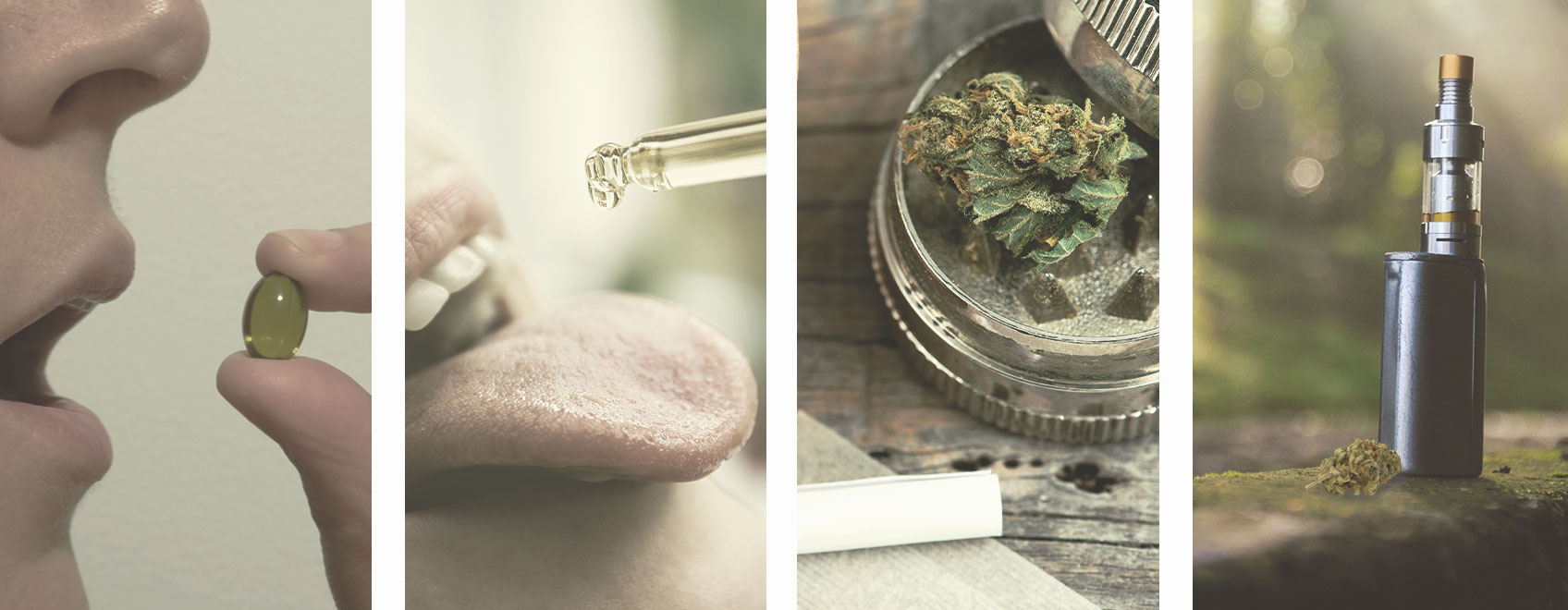 Come Microdosare il CBD Come Microdosare il CBD