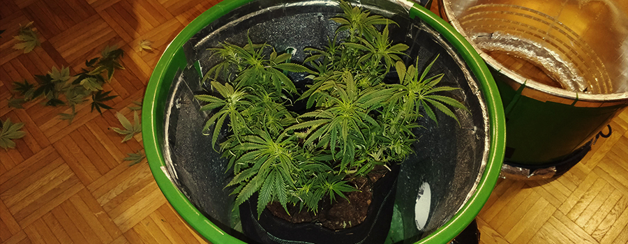 MODIFICHE E TRUCCHI PER GLI SPACE BUCKET MODIFICHE E TRUCCHI PER GLI SPACE BUCKET