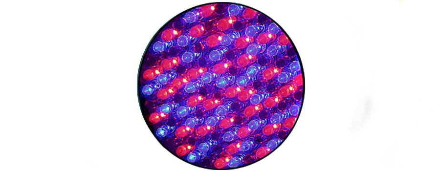 LED STANDARD (