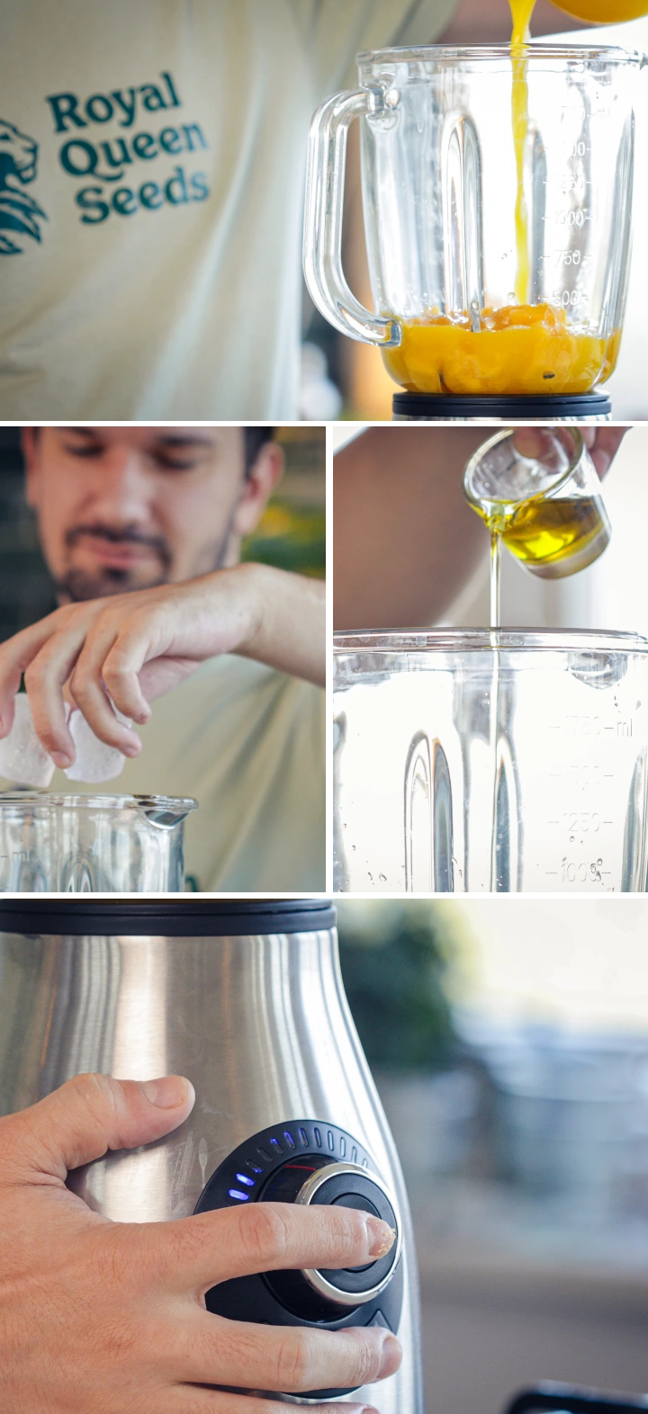 Fase 3: Aggiungere mango, menta, olio MCT alla cannabis e lecitina nel frullatore Aggiunta di mango a pezzi, menta, cubetti di ghiaccio, olio MCT alla cannabis e lecitina nel frullatore prima di frullare.