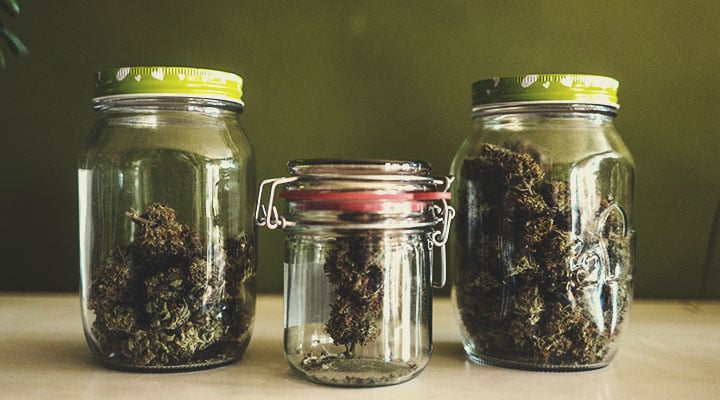Gli effetti dei diversi profili di cannabinoidi Gli effetti dei diversi profili di cannabinoidi
