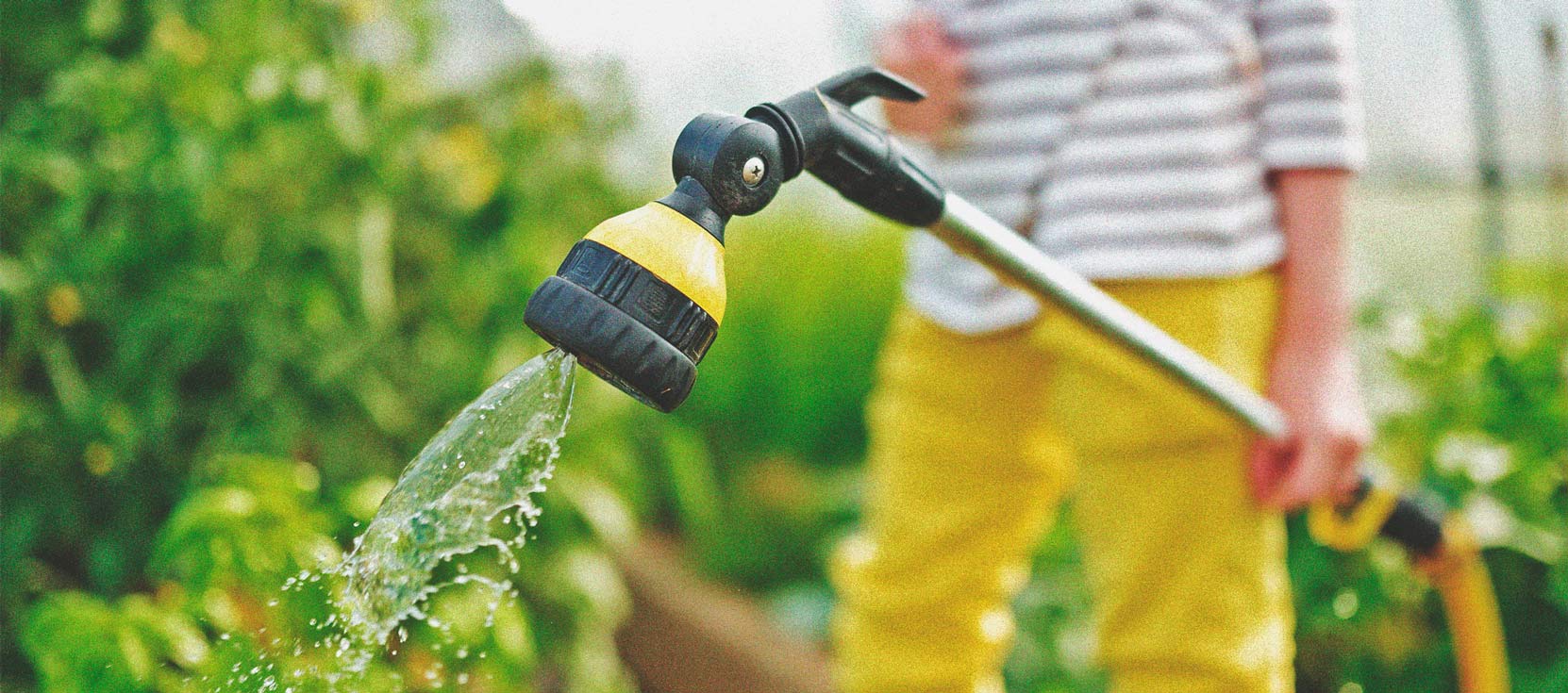 Cannabis e qualità dell'acqua Parte 3: Scelta della fonte d'acqua Cannabis e qualità dell'acqua Parte 3: Scelta della fonte d'acqua