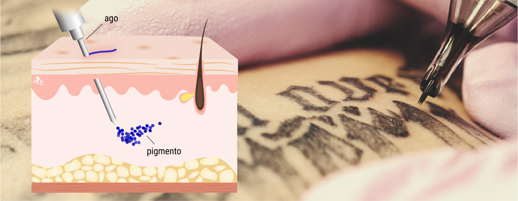 In Cosa Consiste un Tatuaggio? In Cosa Consiste un Tatuaggio?