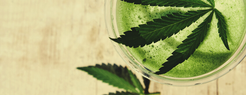 Succo di Cannabis Succo di Cannabis