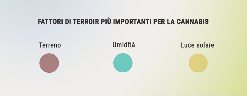 COME OTTIMIZZARE IL TERROIR PER COLTIVARE CANNABIS MIGLIORE